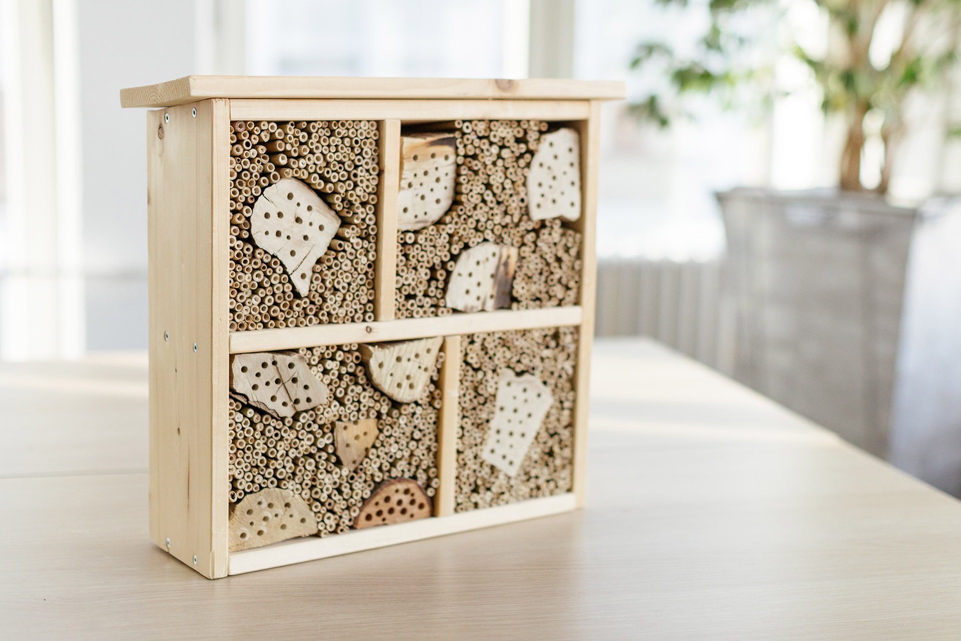 kleines Insektenhotel